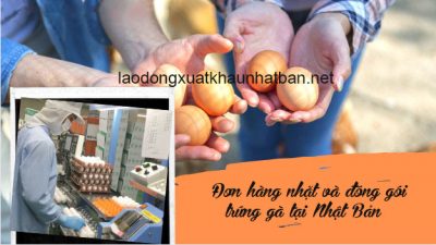 Đơn hàng đóng gói trứng gà xklđ Nhật Bản tuyển 5 nữ phỏng vấn ngày 16/06/2021