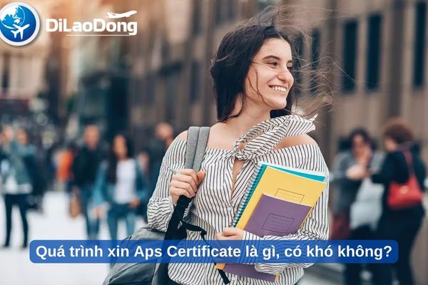 Quá trình xin Aps Certificate là gì, có khó không?