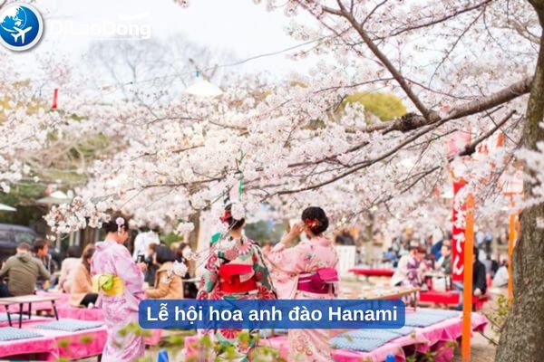 Lễ hội truyền thống ngắm hoa anh đào tại Nhật Hanami 