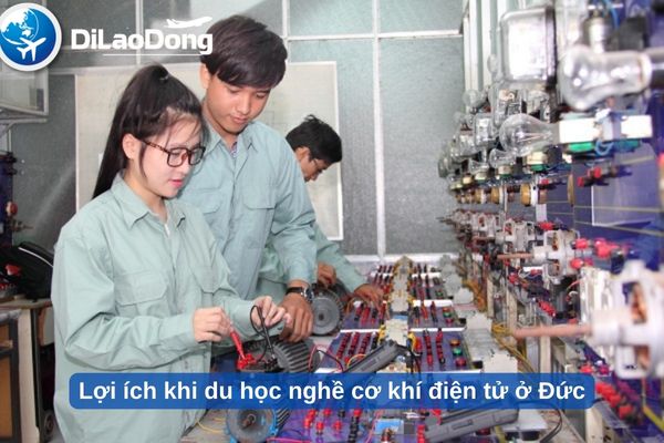 Du học nghề cơ khí, cơ điện tử và điện tử Đức nên chọn ở lại hay về Việt Nam làm việc?