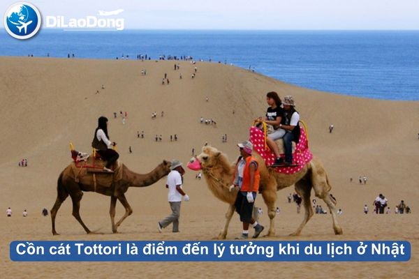 Cồn cát Tottori là điểm đến lý tưởng khi du lịch ở Nhật