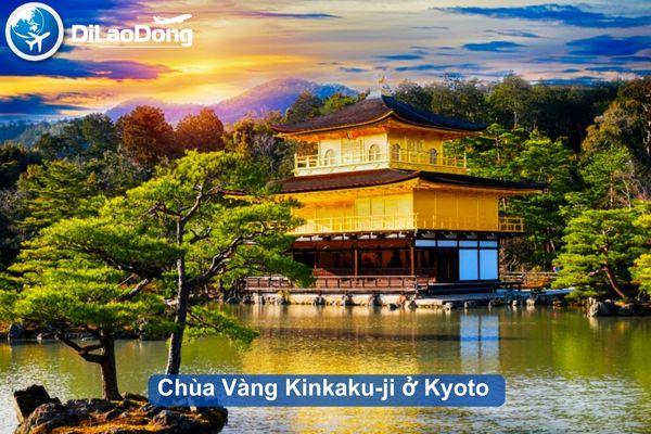Những nơi nên đi ở Nhật Bản: Chùa Vàng Kinkaku-ji ở Kyoto 