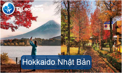 Hokkaido Nhật Bản – Vùng Đất Đáng Sống Của Xứ Sở Mặt Trời Mọc