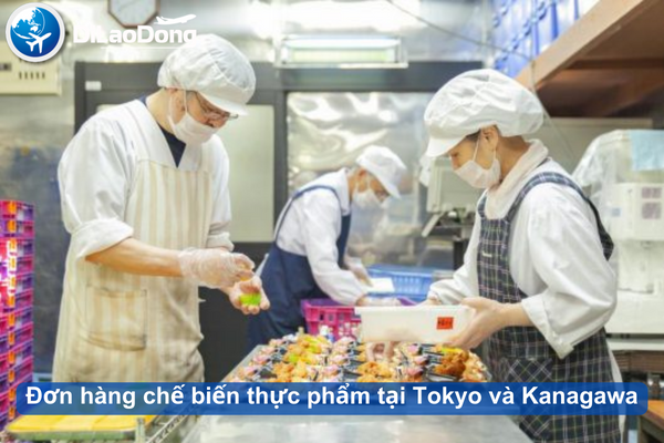 Đơn hàng chế biến thực phẩm tại Tokyo và Kanagawa